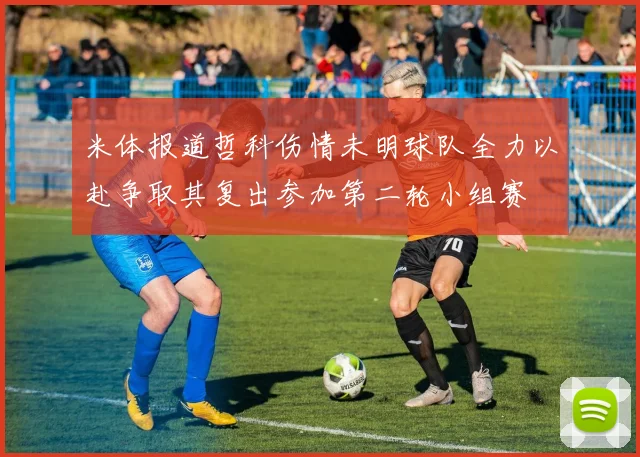 米体报道哲科伤情未明球队全力以赴争取其复出参加第二轮小组赛